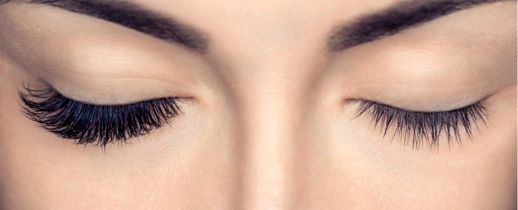 Luxury Lashes